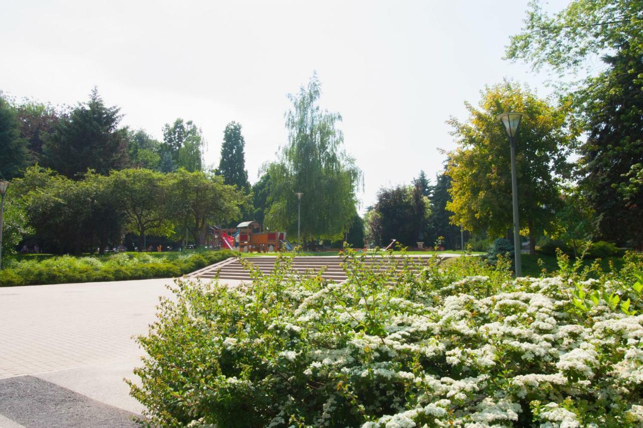 Niebianski Apartament Rzeszów Exteriér fotografie
